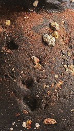 Rocky Moon Jar N.1